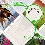 Doberman (US) Wall Calendar 2025