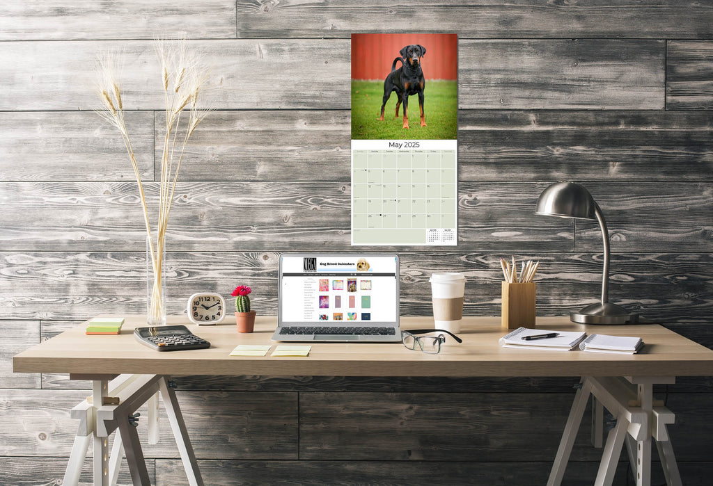 Doberman (US) Wall Calendar 2025