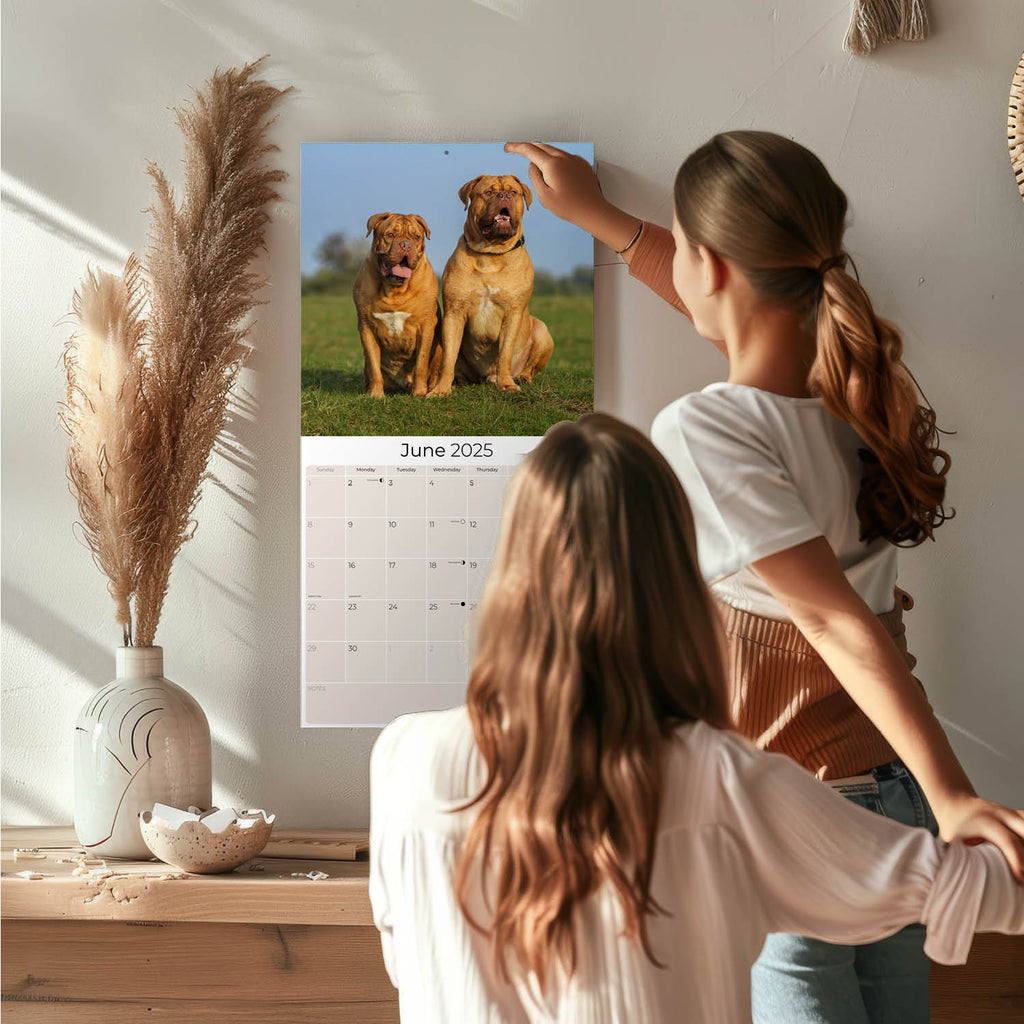 Dogue de Bordeaux Wall Calendar 2025