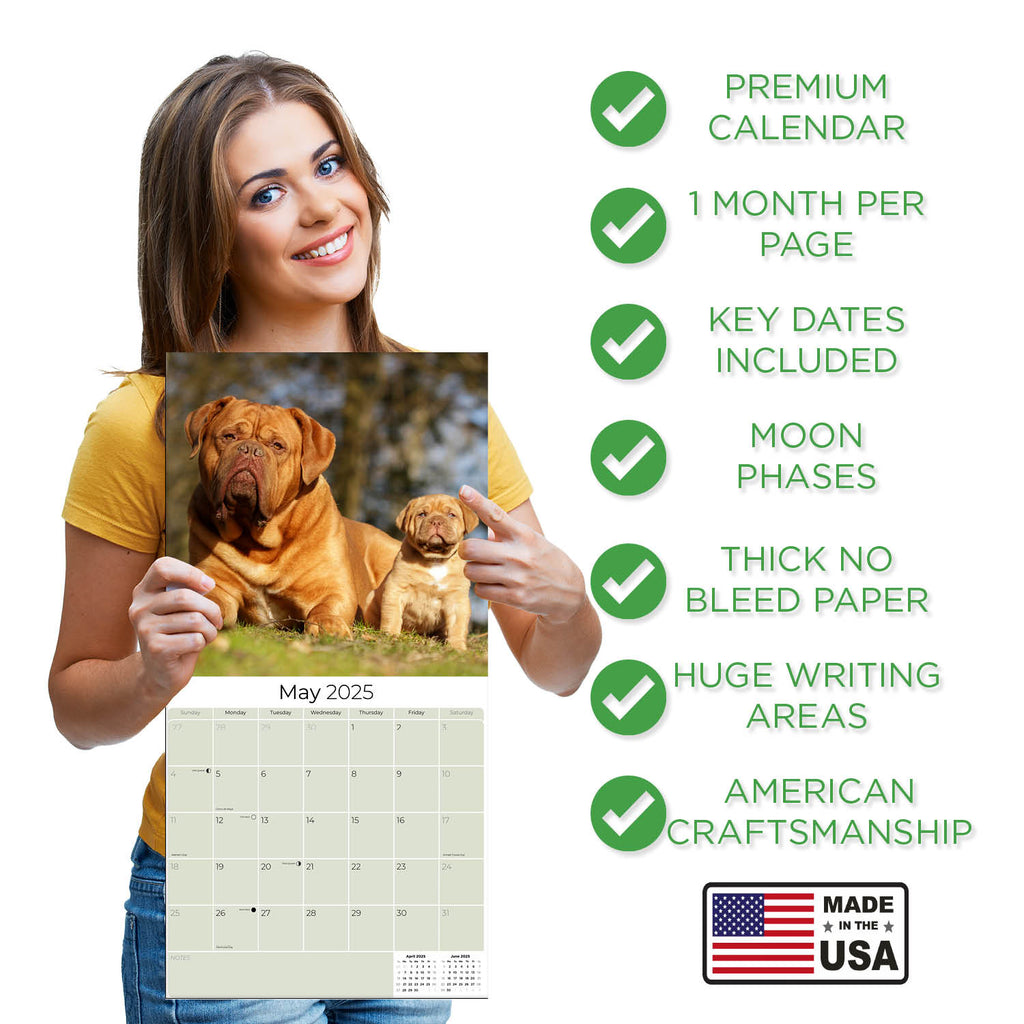 Dogue de Bordeaux Wall Calendar 2025