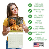 Dogue de Bordeaux Wall Calendar 2025