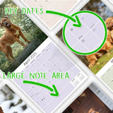 Dogue de Bordeaux Wall Calendar 2025