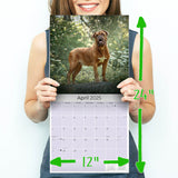 Dogue de Bordeaux Wall Calendar 2025