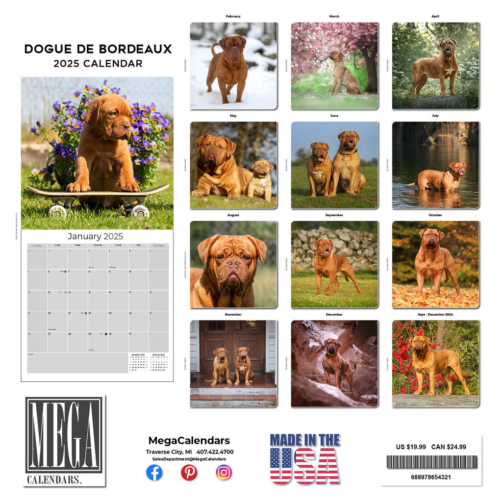 Dogue de Bordeaux Wall Calendar 2025