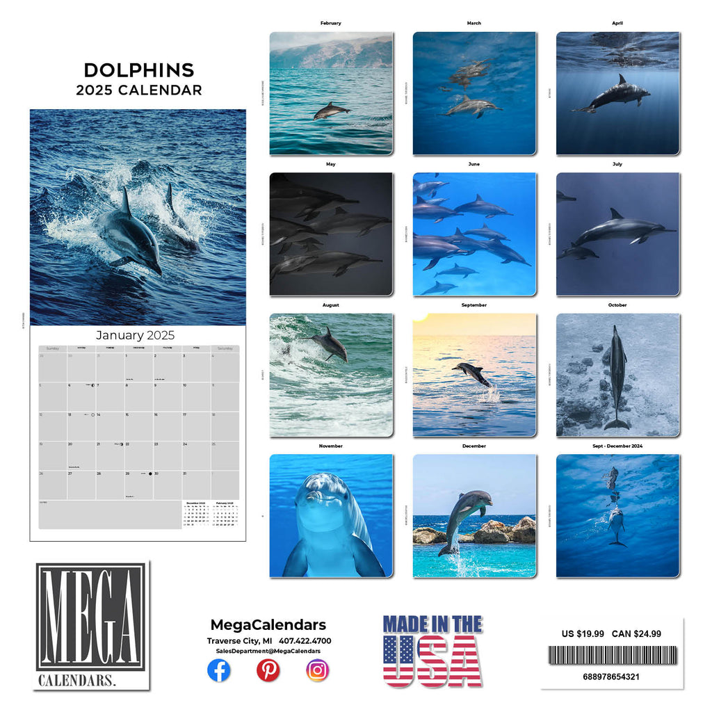 Dolphins Wall Calendar 2025