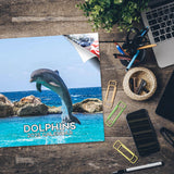 Dolphins Wall Calendar 2025