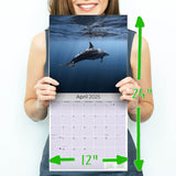 Dolphins Wall Calendar 2025