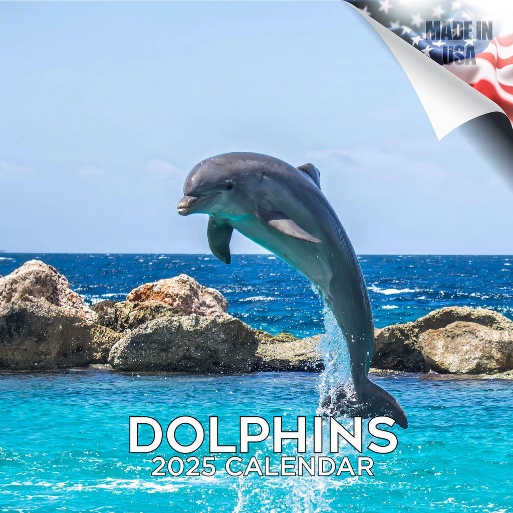 Dolphins Wall Calendar 2025