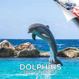 Dolphins Wall Calendar 2025