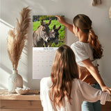 Donkeys Wall Calendar 2025