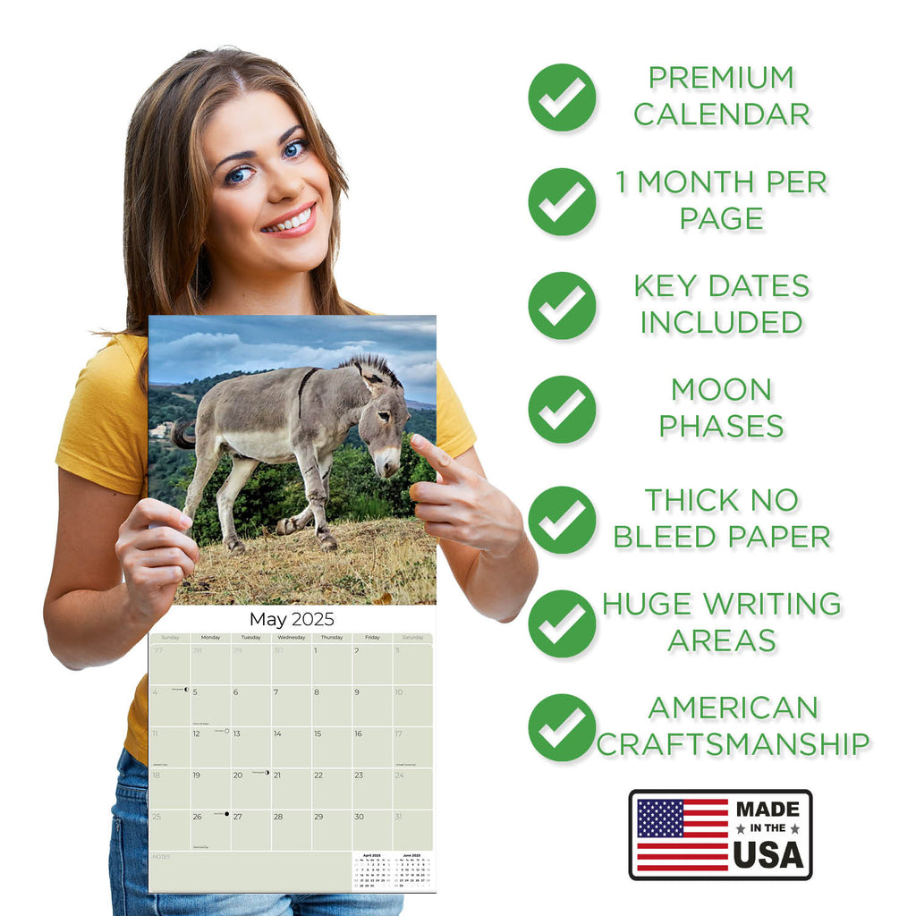 Donkeys Wall Calendar 2025