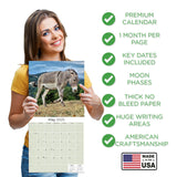 Donkeys Wall Calendar 2025