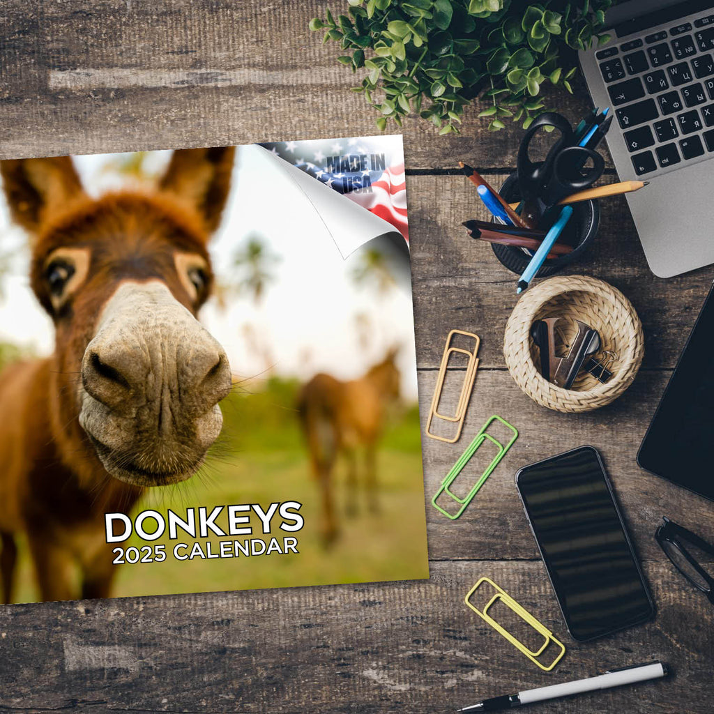 Donkeys Wall Calendar 2025