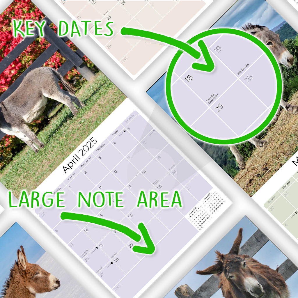 Donkeys Wall Calendar 2025
