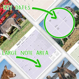 Donkeys Wall Calendar 2025