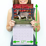 Donkeys Wall Calendar 2025