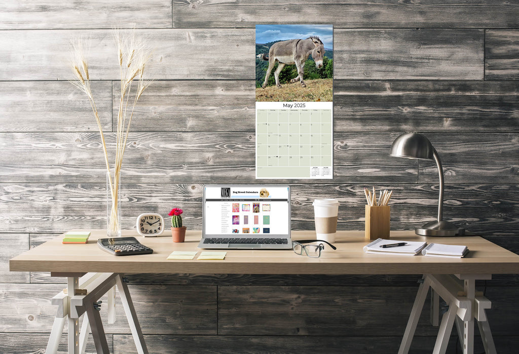 Donkeys Wall Calendar 2025