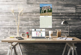 Donkeys Wall Calendar 2025