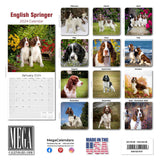 Eng Springer Spaniel (US) Wall Calendar 2024