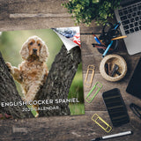 English Cocker Spaniel Wall Calendar 2025