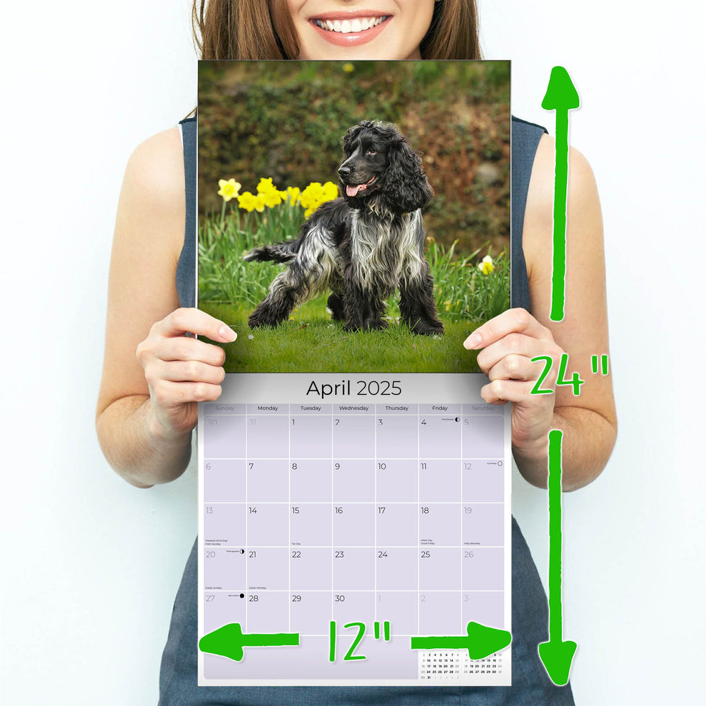 English Cocker Spaniel Wall Calendar 2025