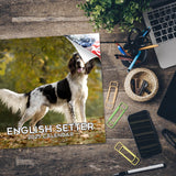 English Setter Wall Calendar 2025