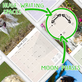 English Setter Wall Calendar 2025