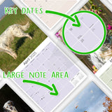 English Setter Wall Calendar 2025
