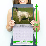 English Setter Wall Calendar 2025