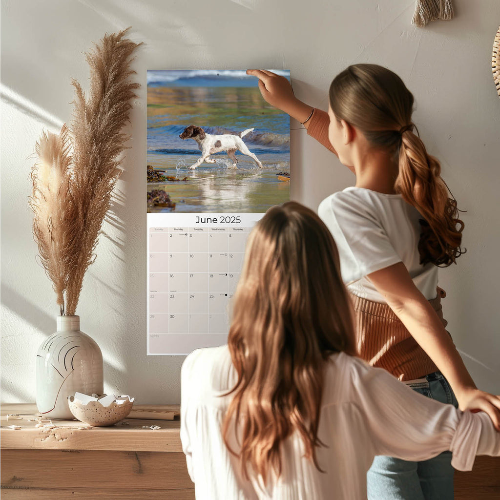English Springer Spaniel (Euro) Wall Calendar 2025