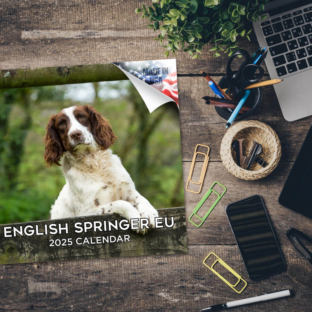 English Springer Spaniel (Euro) Wall Calendar 2025