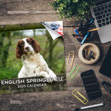 English Springer Spaniel (Euro) Wall Calendar 2025