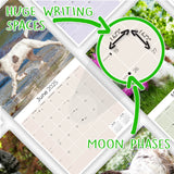 English Springer Spaniel (Euro) Wall Calendar 2025