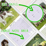 English Springer Spaniel (US) Wall Calendar 2025