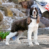 English Springer Spaniel (US) Wall Calendar 2025