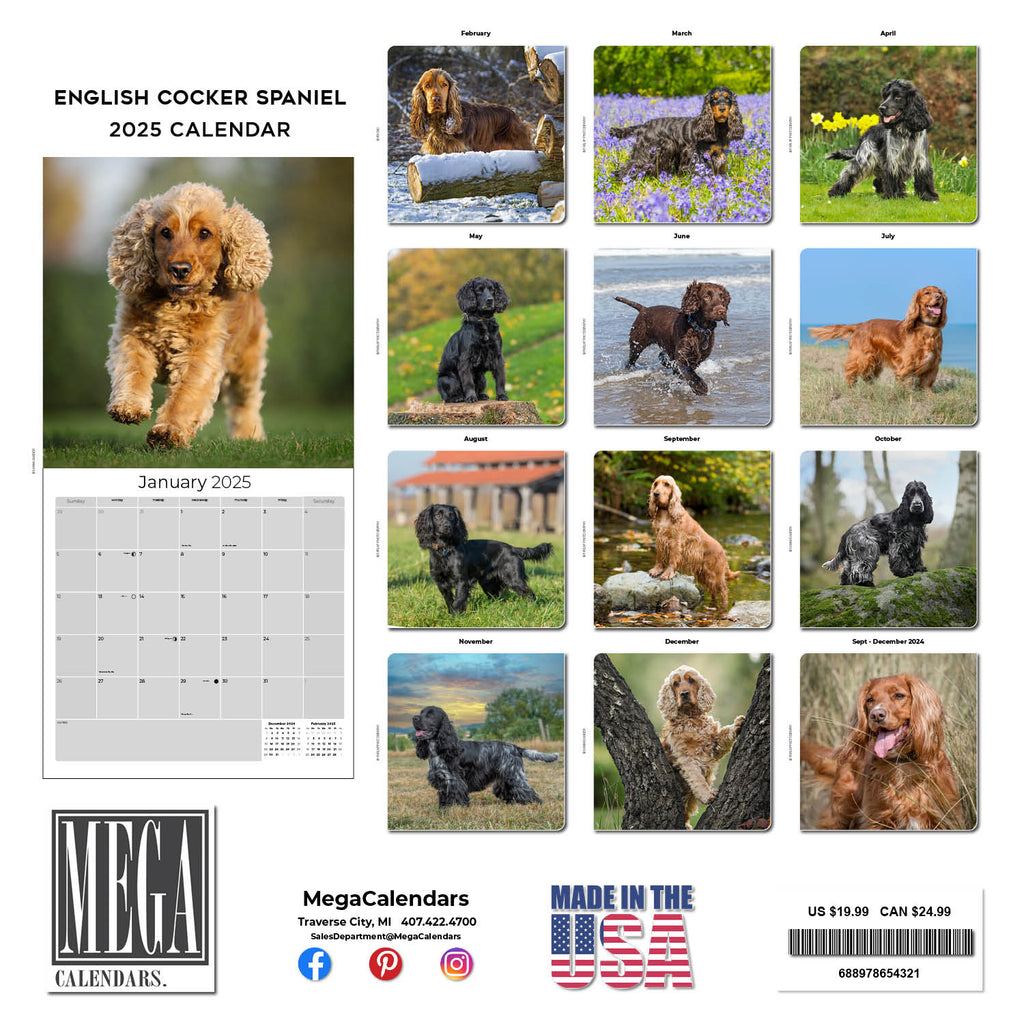 English Cocker Spaniel Wall Calendar 2025