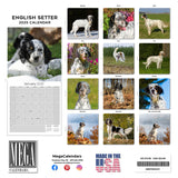 English Setter Wall Calendar 2025
