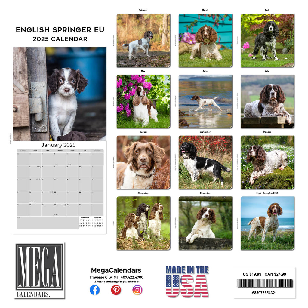 English Springer Spaniel (Euro) Wall Calendar 2025