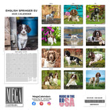 English Springer Spaniel (Euro) Wall Calendar 2025
