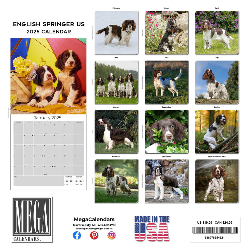 English Springer Spaniel (US) Wall Calendar 2025
