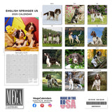 English Springer Spaniel (US) Wall Calendar 2025