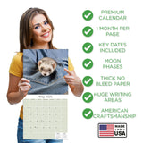 Ferrets Wall Calendar 2025