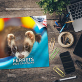 Ferrets Wall Calendar 2025