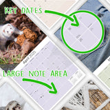 Ferrets Wall Calendar 2025