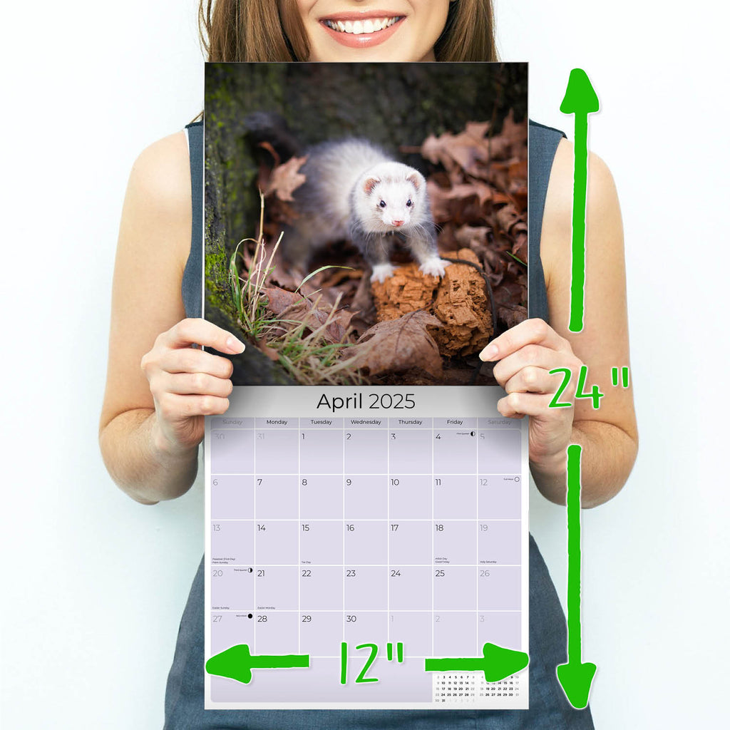 Ferrets Wall Calendar 2025