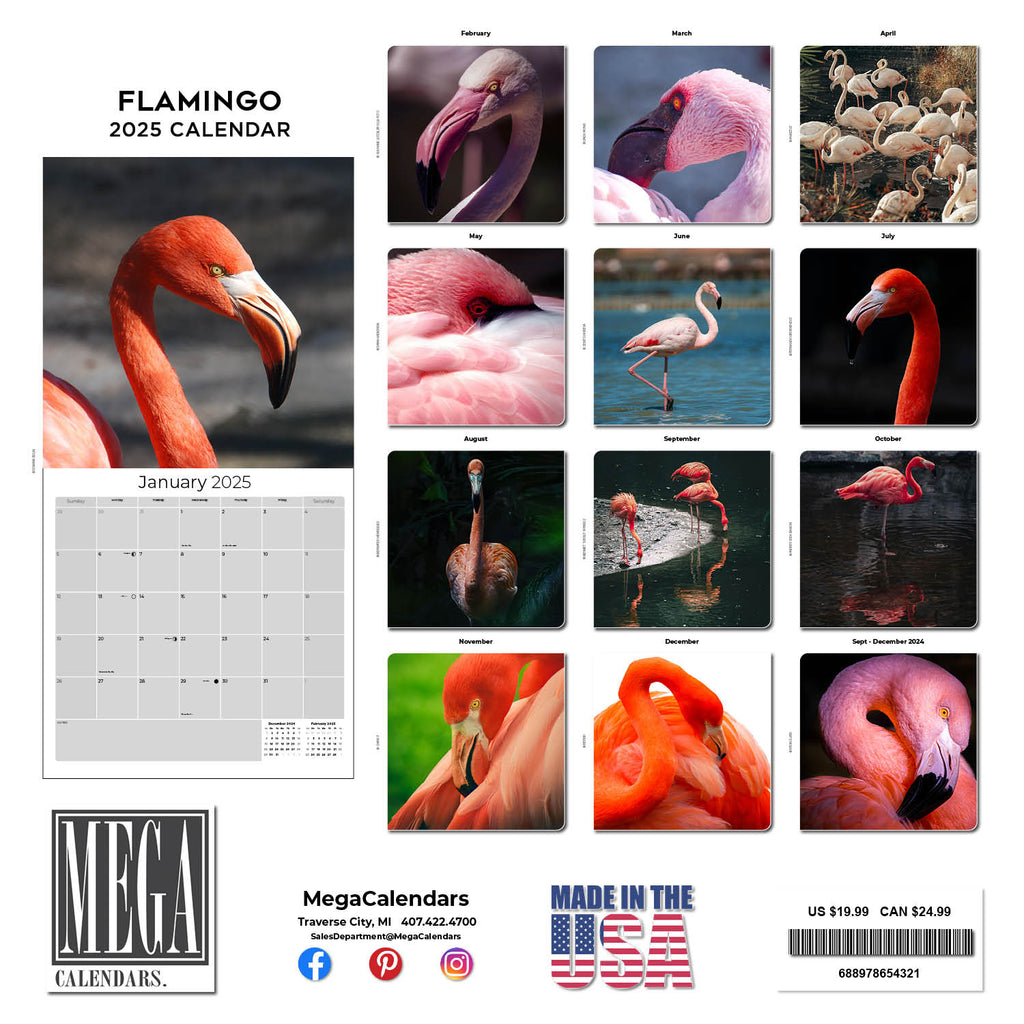 Flamingo Wall Calendar 2025
