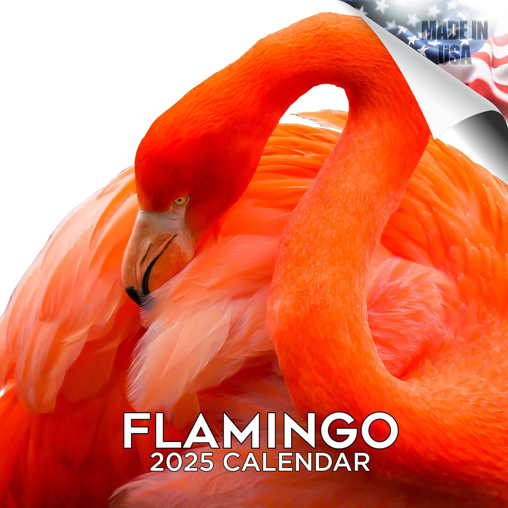 Flamingo Wall Calendar 2025