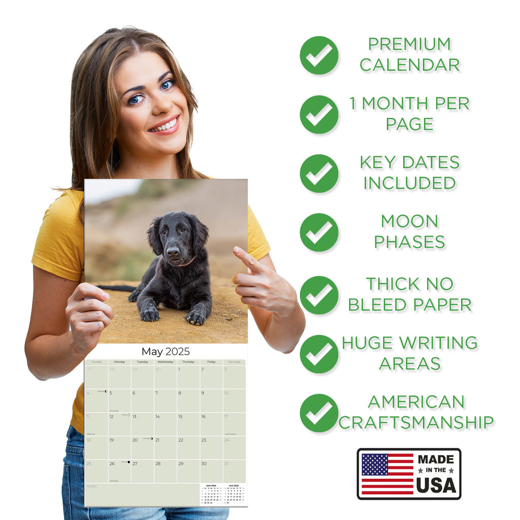 Flatcoated Retriever Wall Calendar 2025