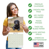 Flatcoated Retriever Wall Calendar 2025