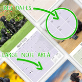 Flatcoated Retriever Wall Calendar 2025